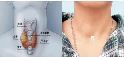 271535337269881483.png 6.png