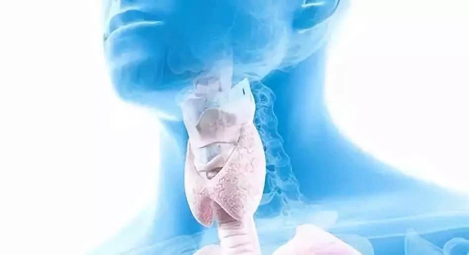 291598665556226142.jpg timg (1).jpg