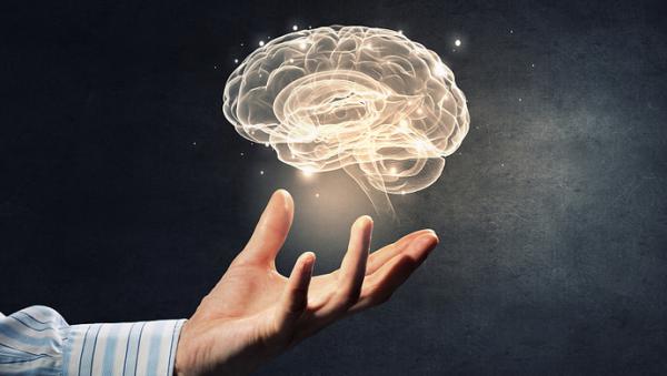 211600671516948529.jpg 907.jpg