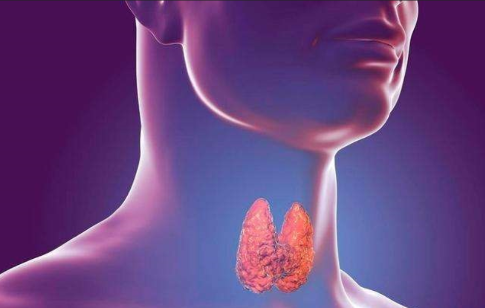 301601436695211903.png 微信截圖_20200930113315.png