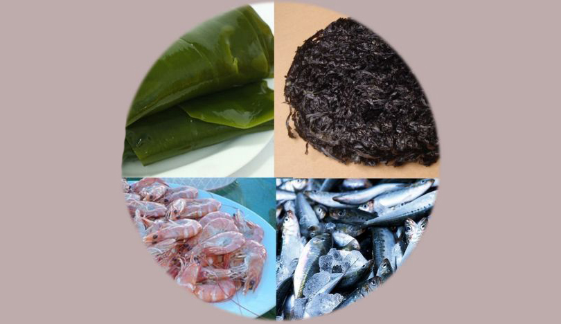 301601437101668120.jpg 516bee559ad243bb02d0b3b160931e6f.jpg