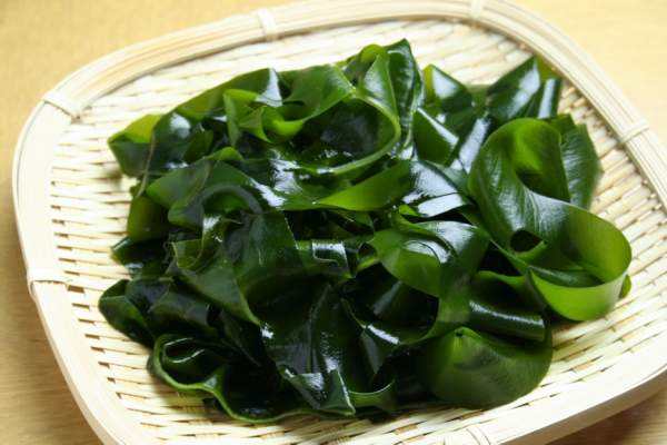 101602298063881196.jpg 9aa45196817be39d5c2942422f3dbd41.jpg