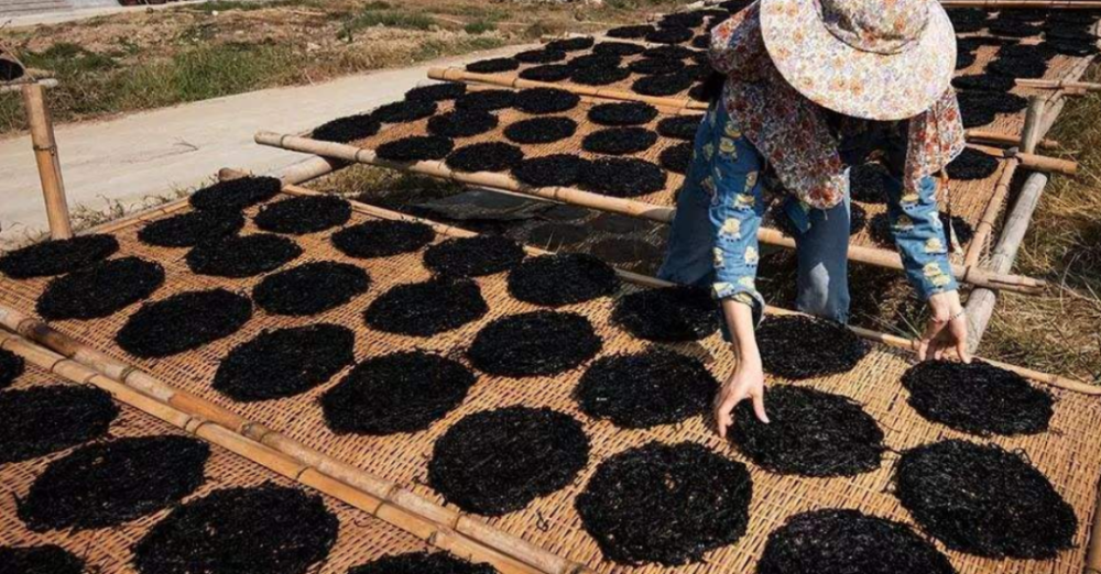 211603258272902874.png 1000 (3).png