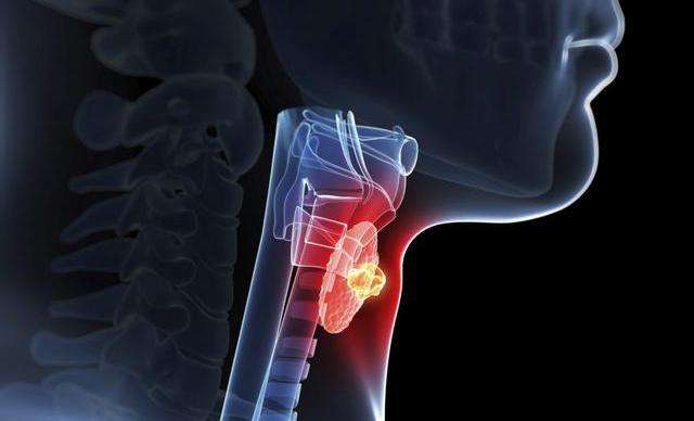 031606961958899381.jpg ac381a59a457ba2d447e53ac18492d1a.jpg