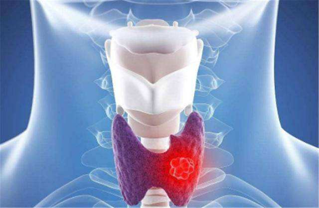 031606962136417900.jpeg d6c8aa03c03d32a897b350f97cb1ea8b.jpeg