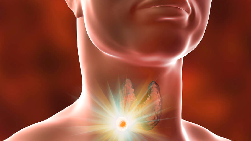 151608015602104681.png 1000.png