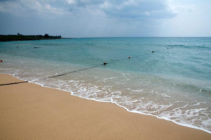 121610440595994695.jpeg 61e7d14e275734020c8ce07df101e69b.jpeg