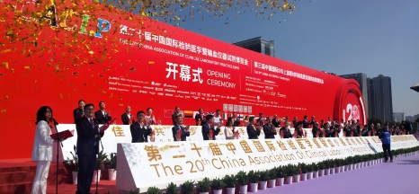 011685555854840886.jpg 64733804a3105379f571f052(1).jpg